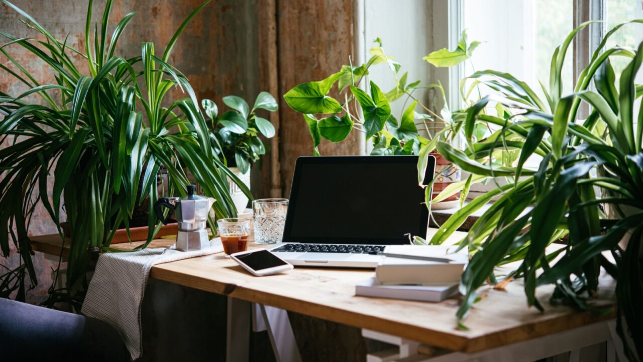 植物のあるモダンで明るいオフィスデスクでChatGPTを活用している風景